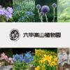 六甲高山植物園 | 神戸・六甲山 公式おでかけサイト